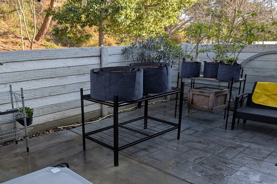 Garden before the water-conscious refresh
