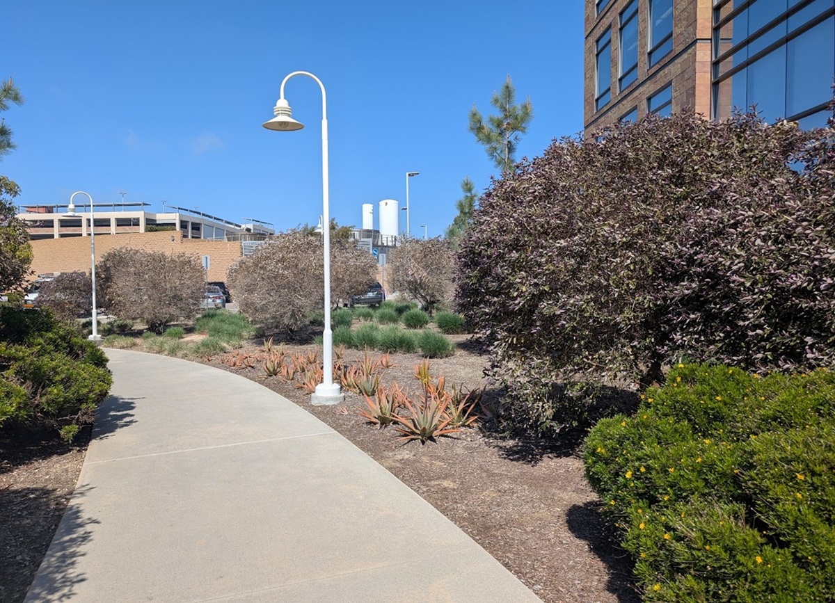 California native planting project